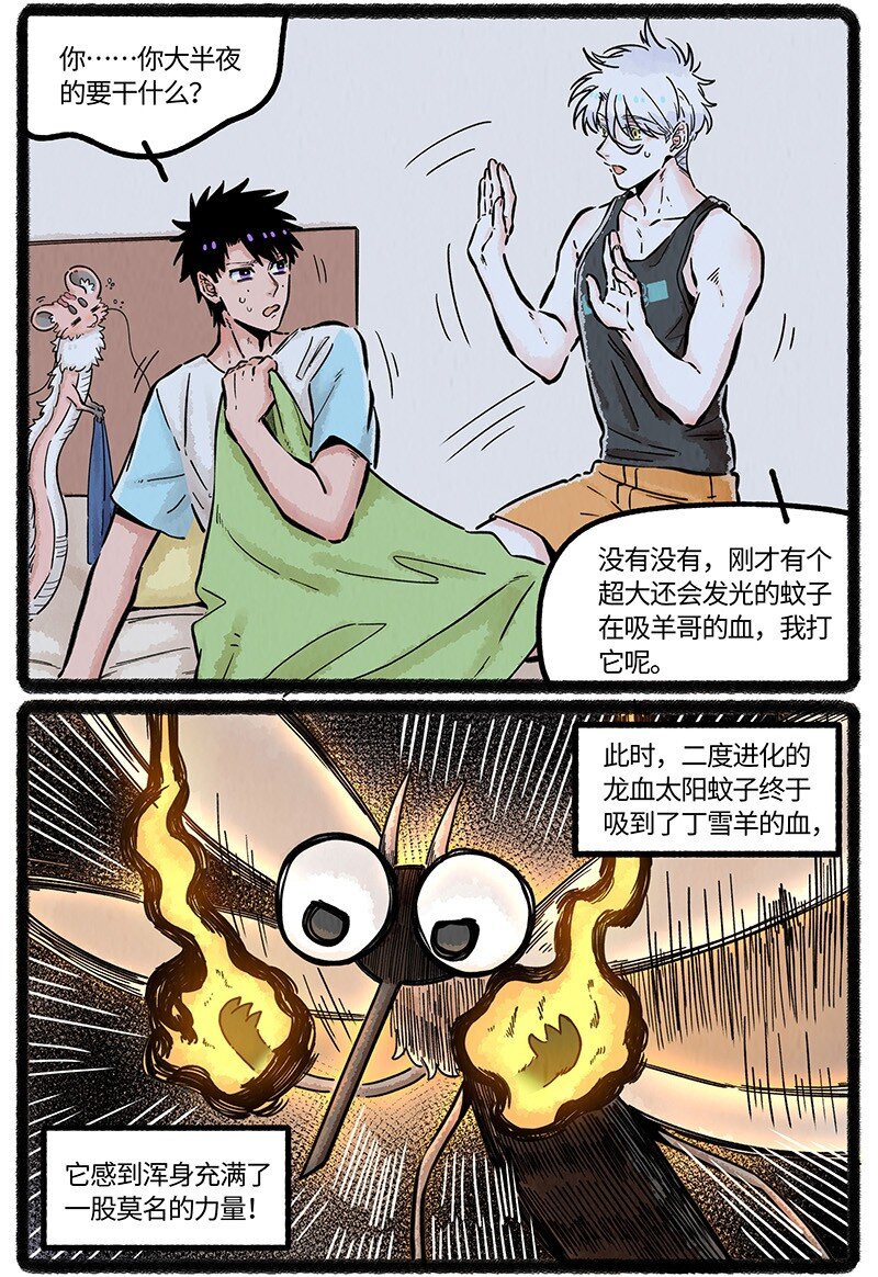 13.jpg