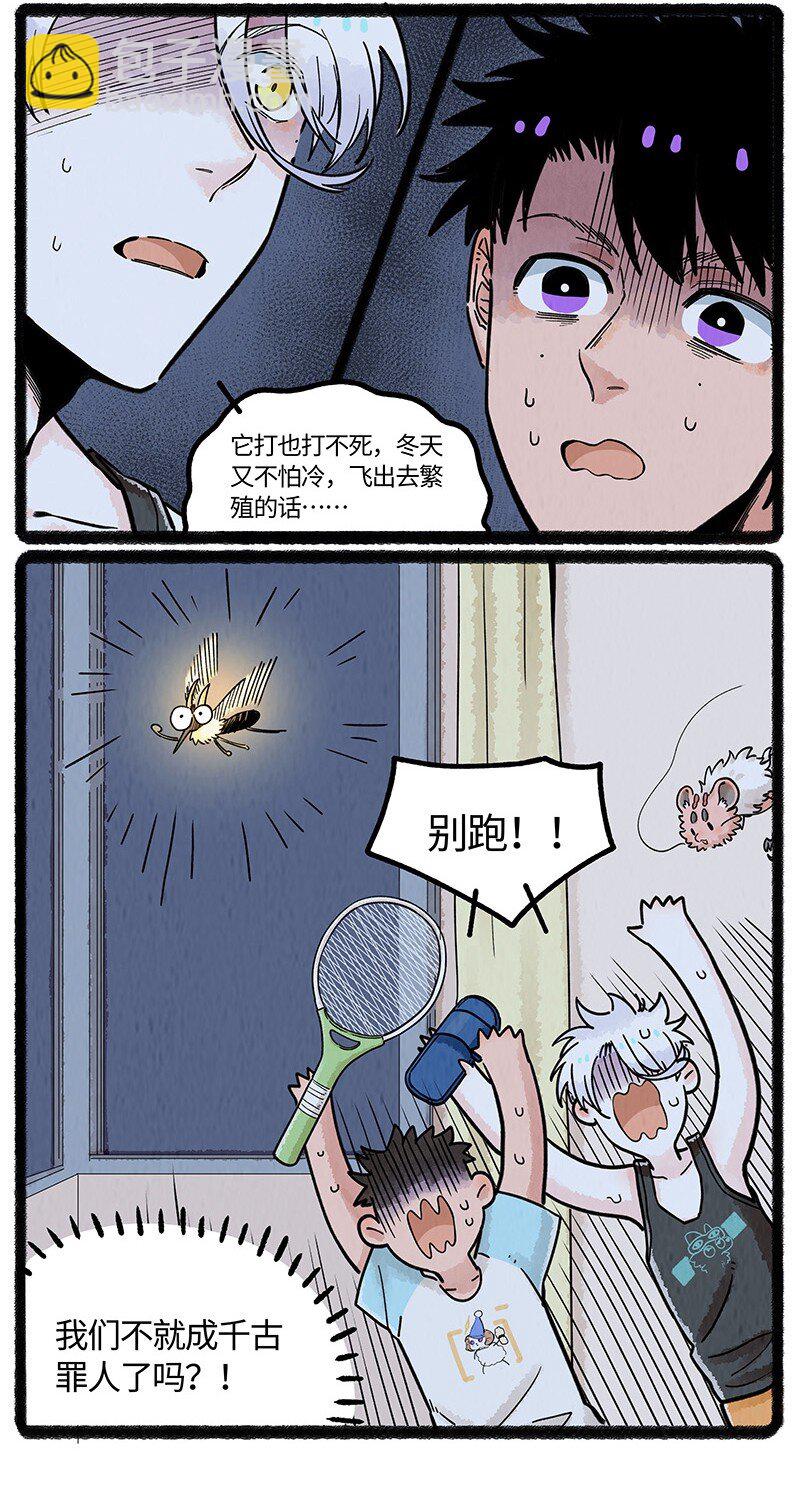 17.jpg