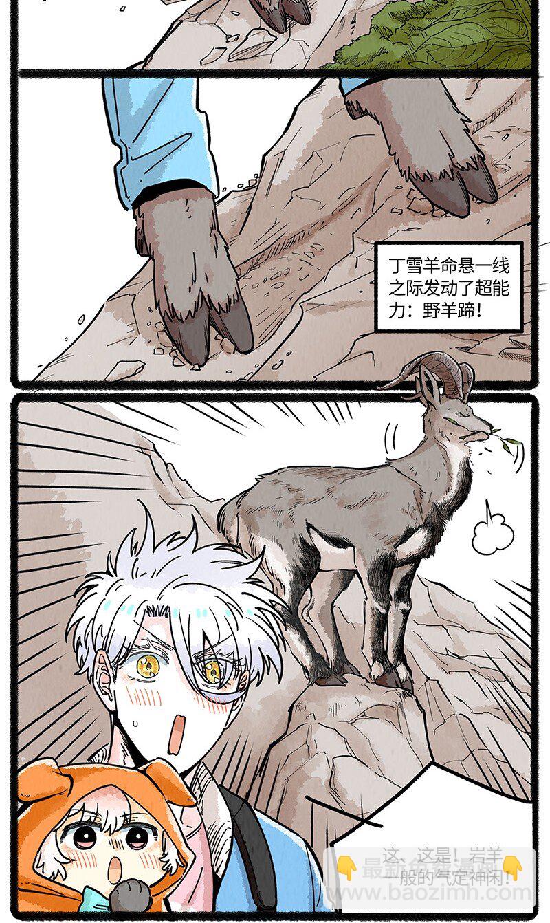 17.jpg