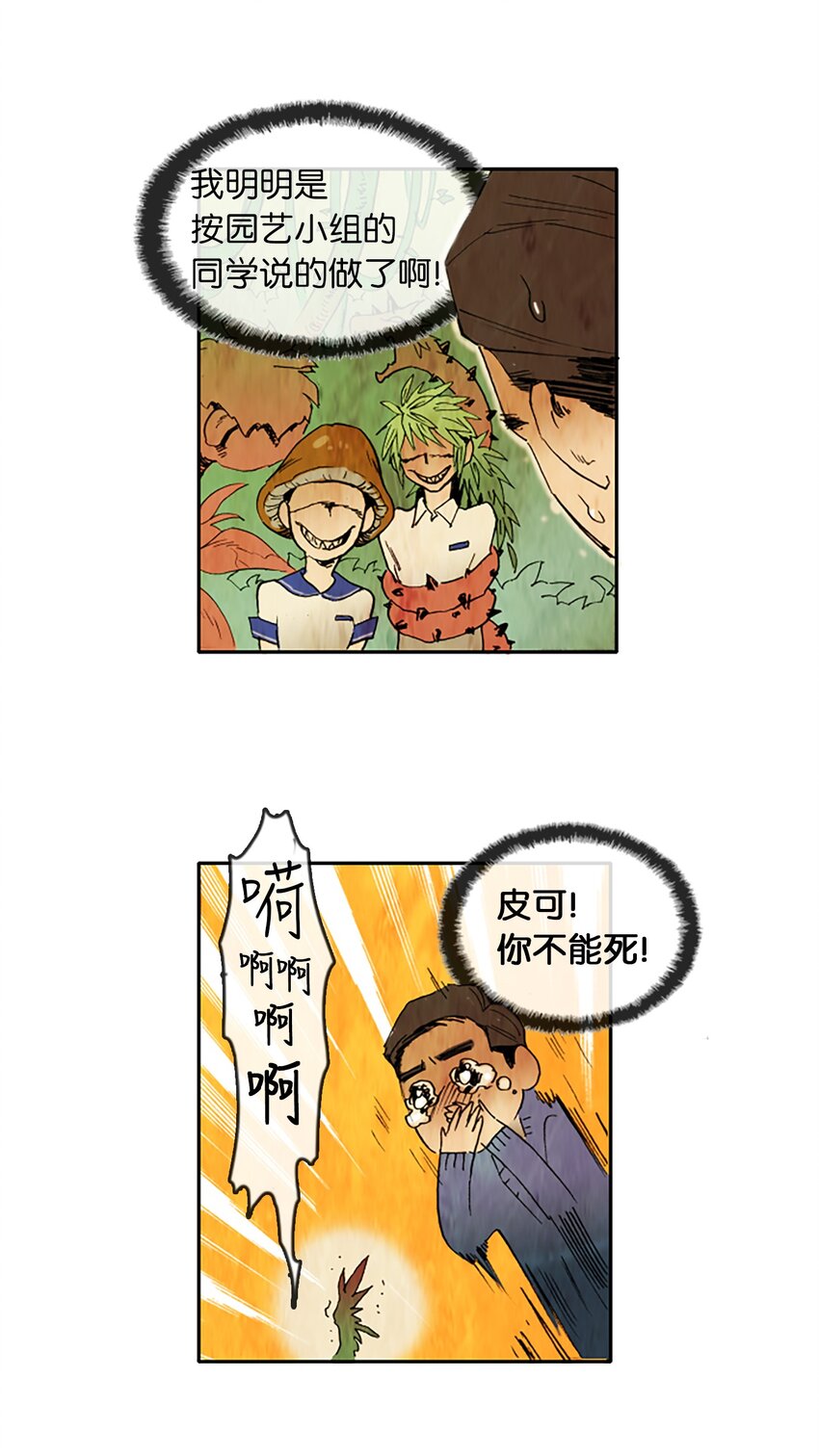 19.jpg