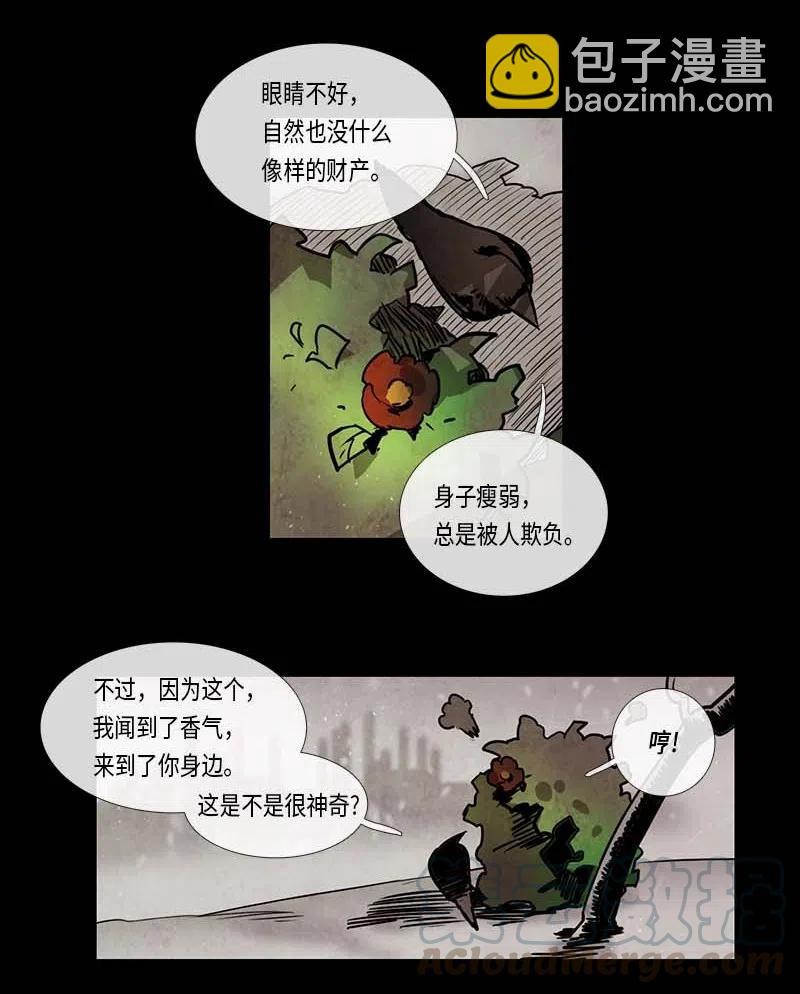 17.jpg