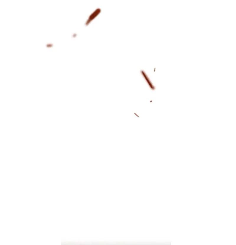 36.jpg