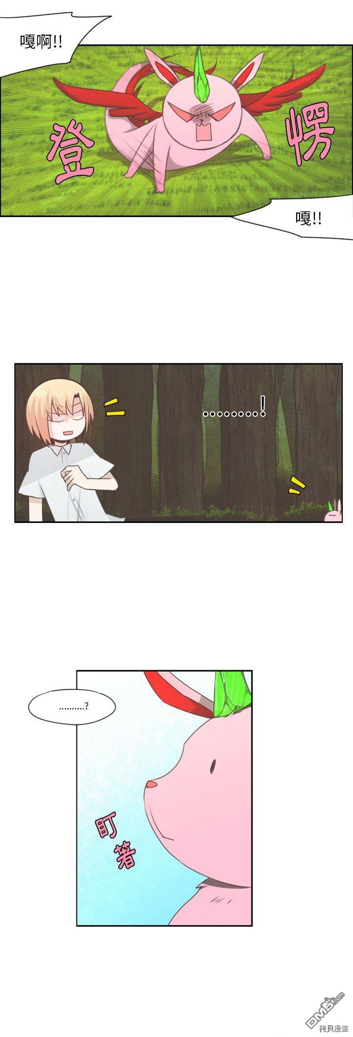 13.jpg