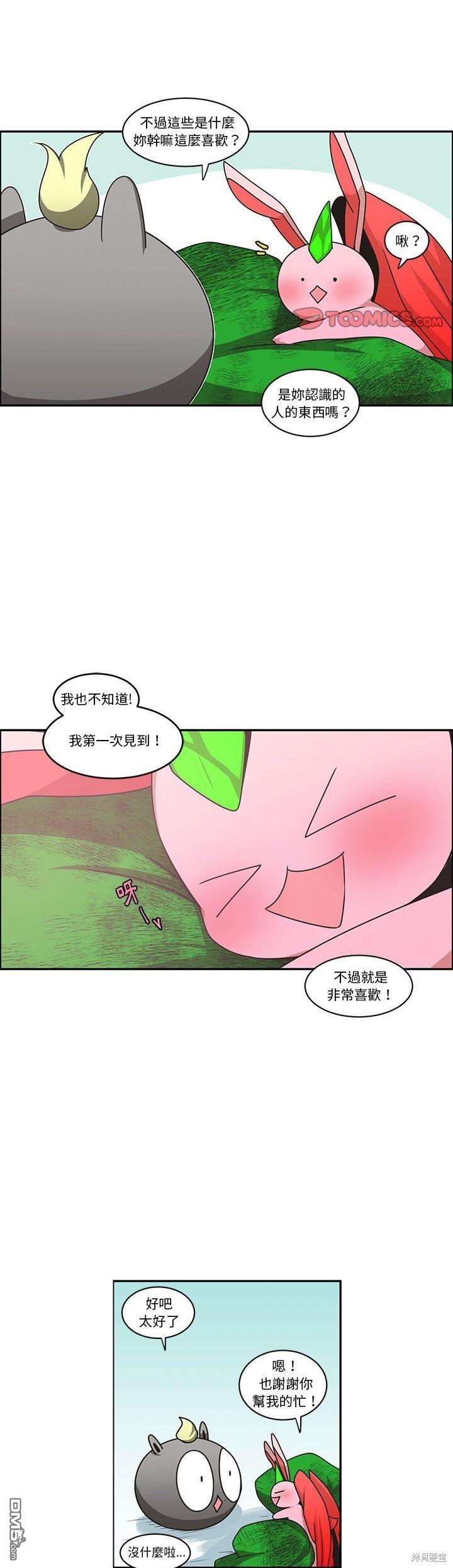 19.jpg