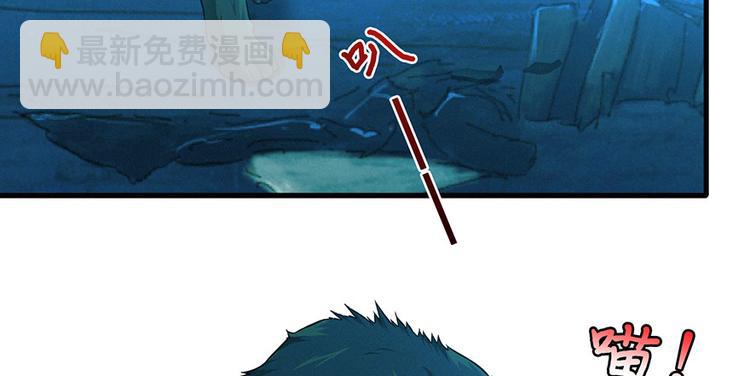 41.jpg