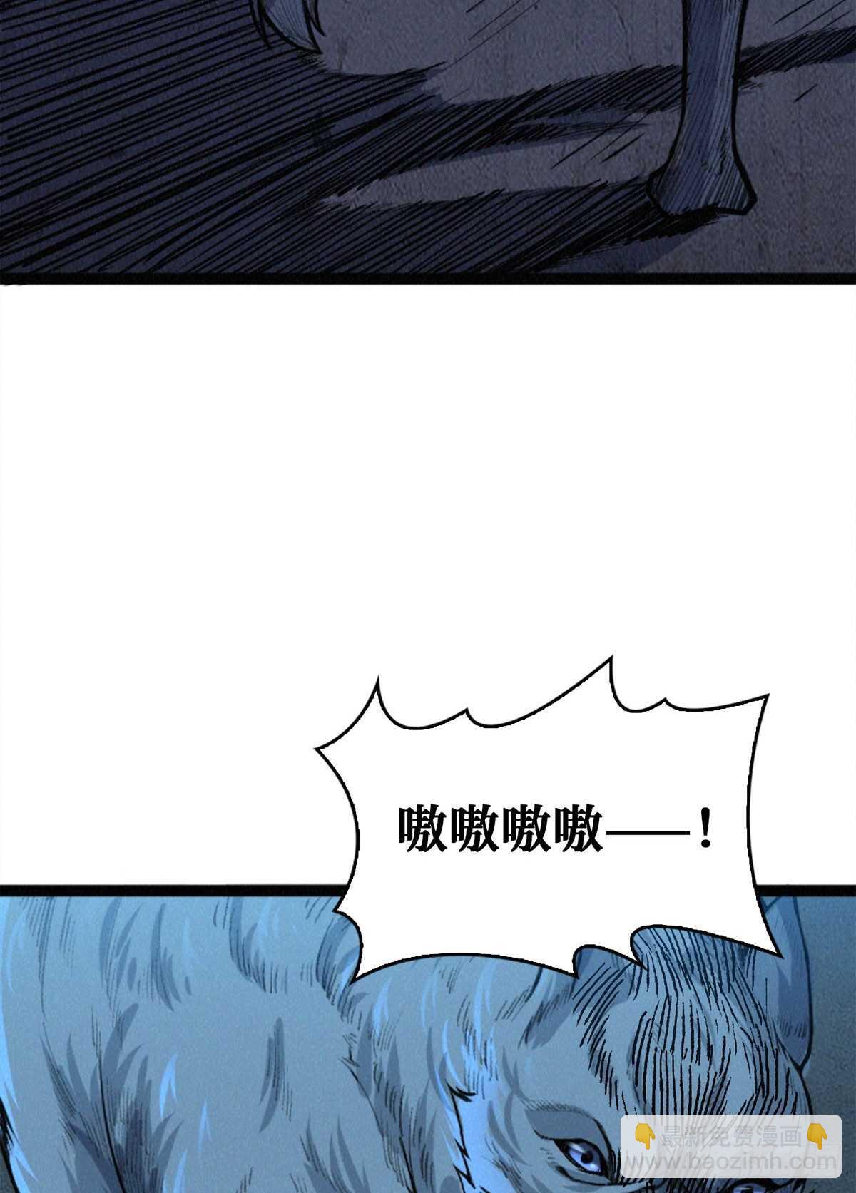 23.jpg