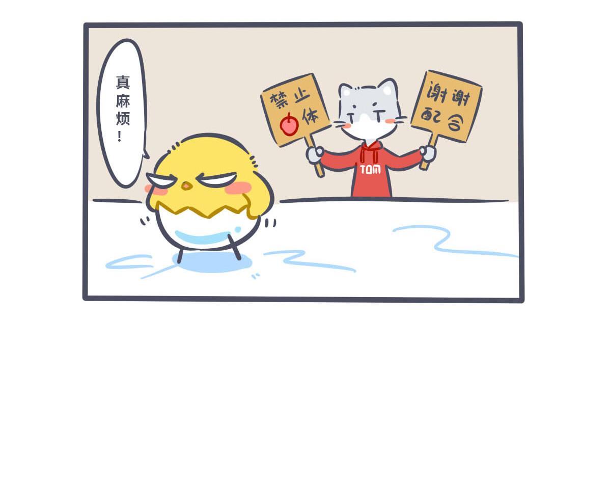 11.jpg