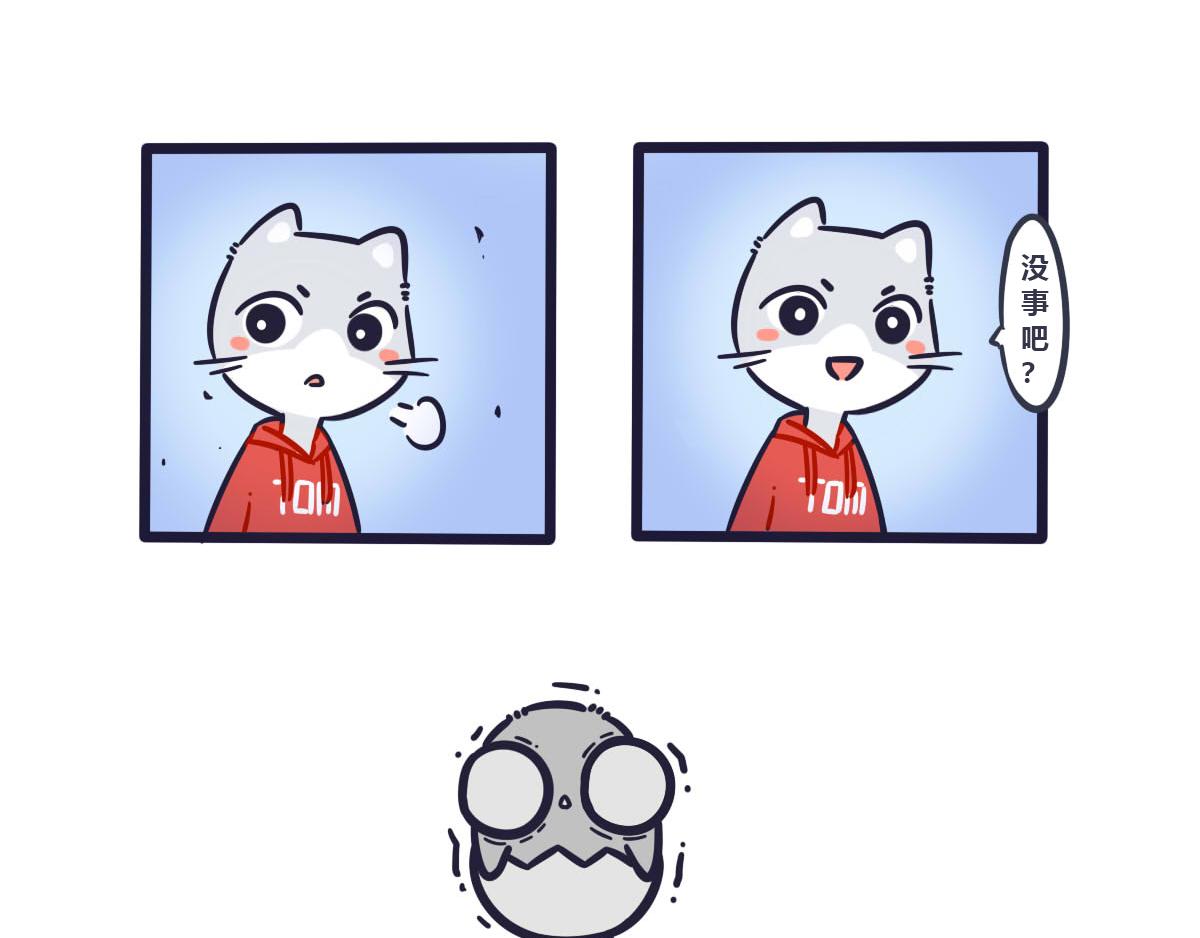 13.jpg