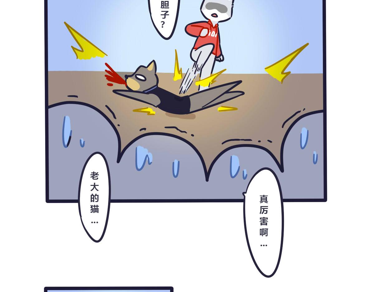 15.jpg