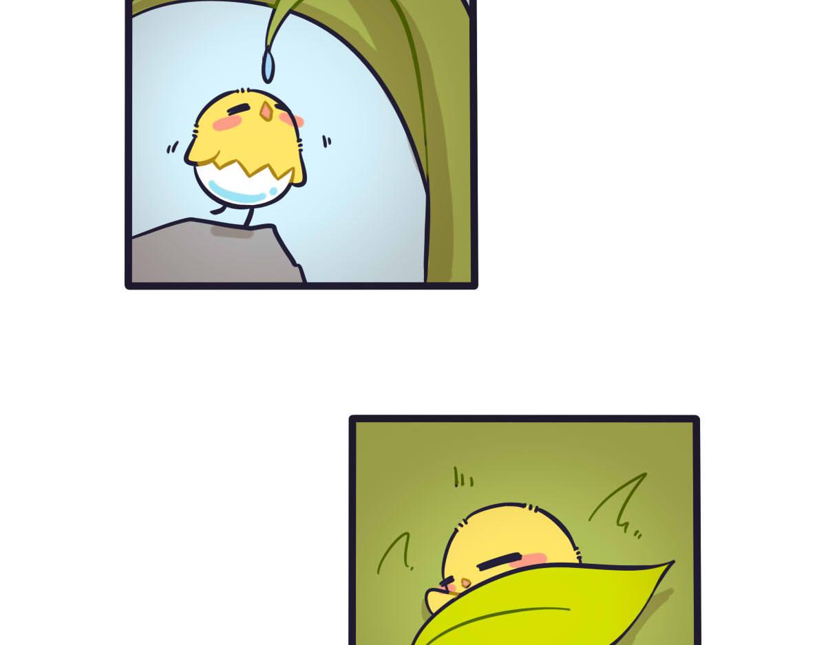 17.jpg