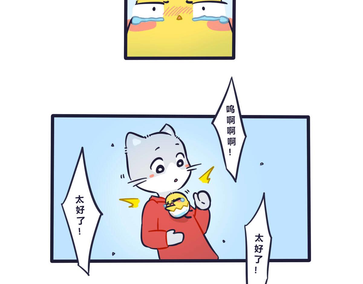 11.jpg