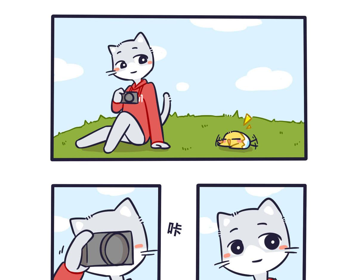 11.jpg