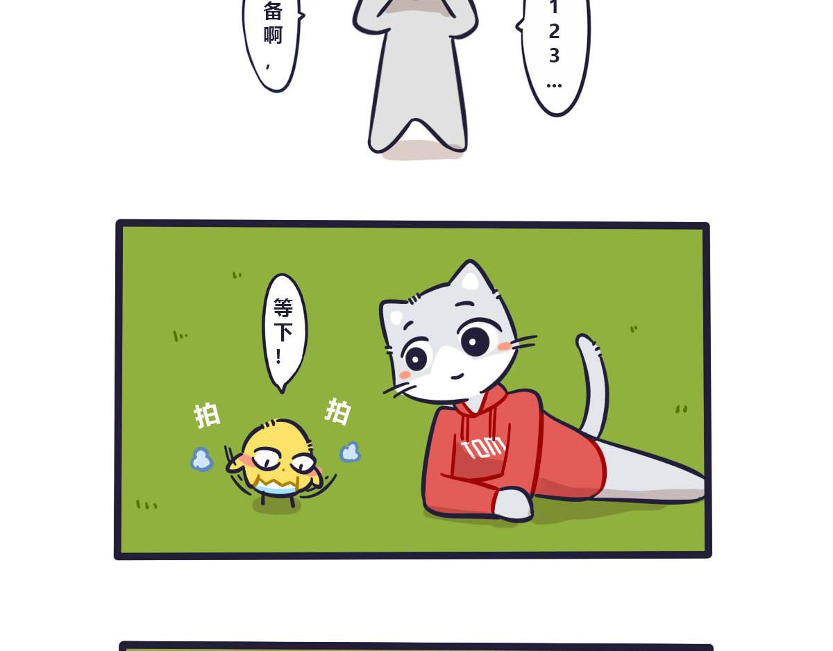 13.jpg