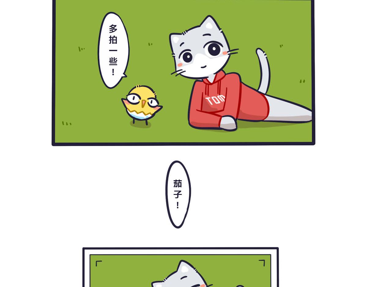 14.jpg