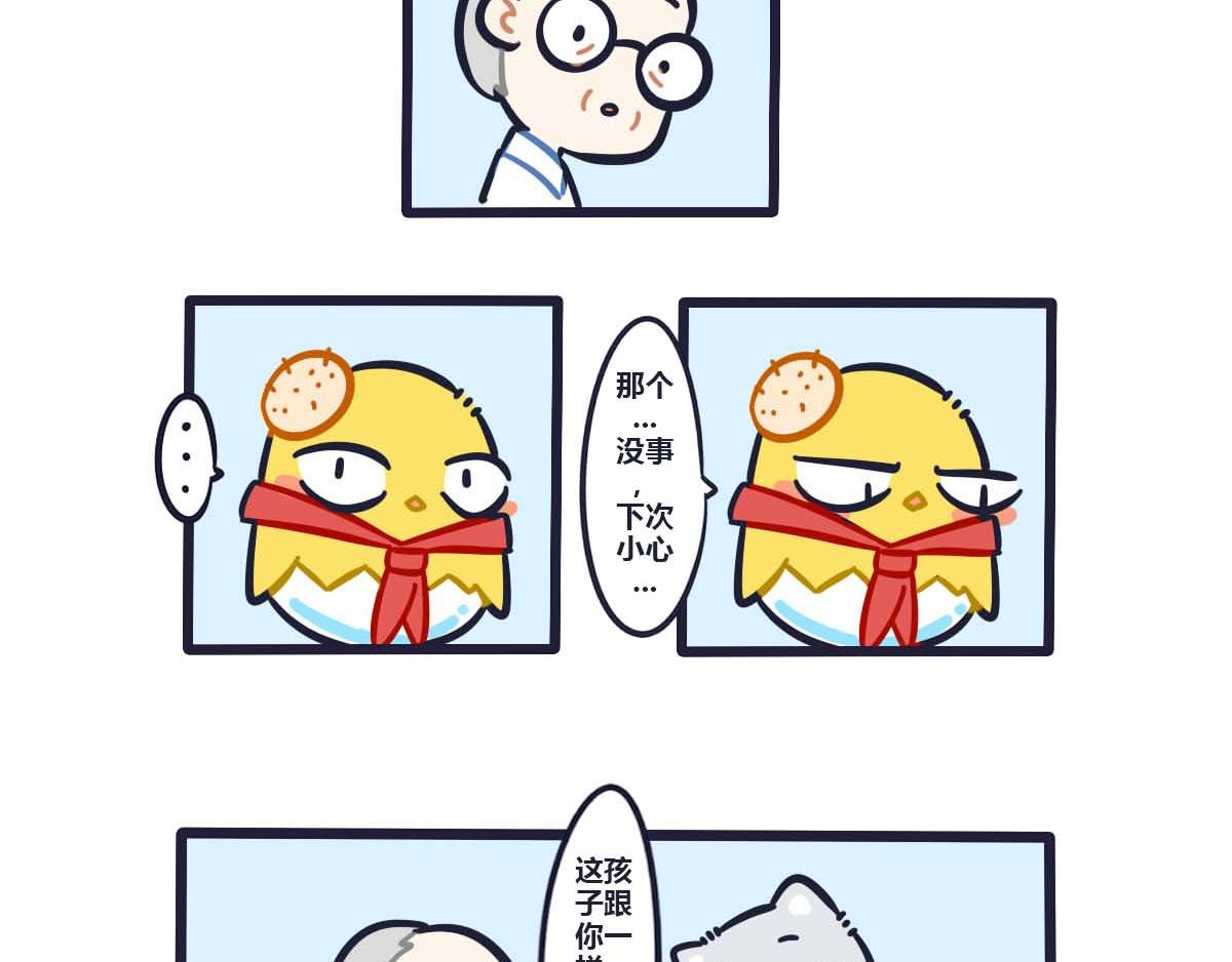 13.jpg