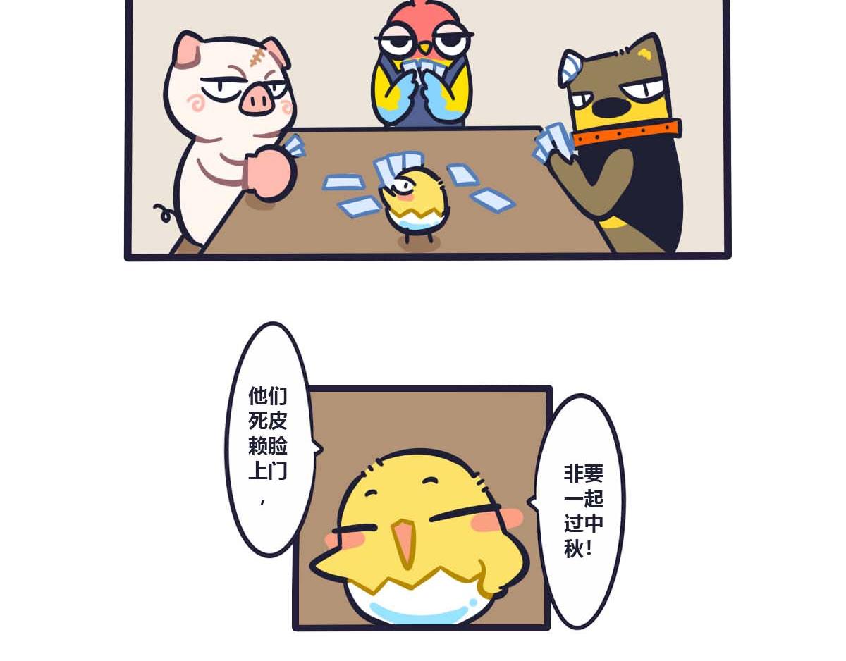 11.jpg