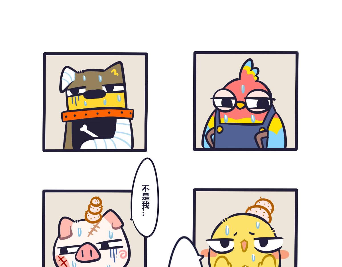 5.jpg
