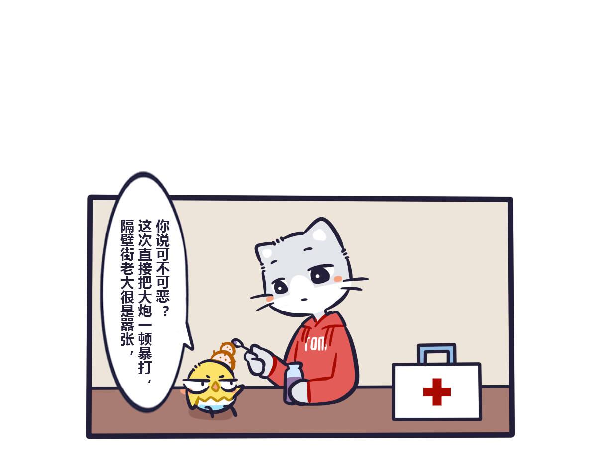 11.jpg