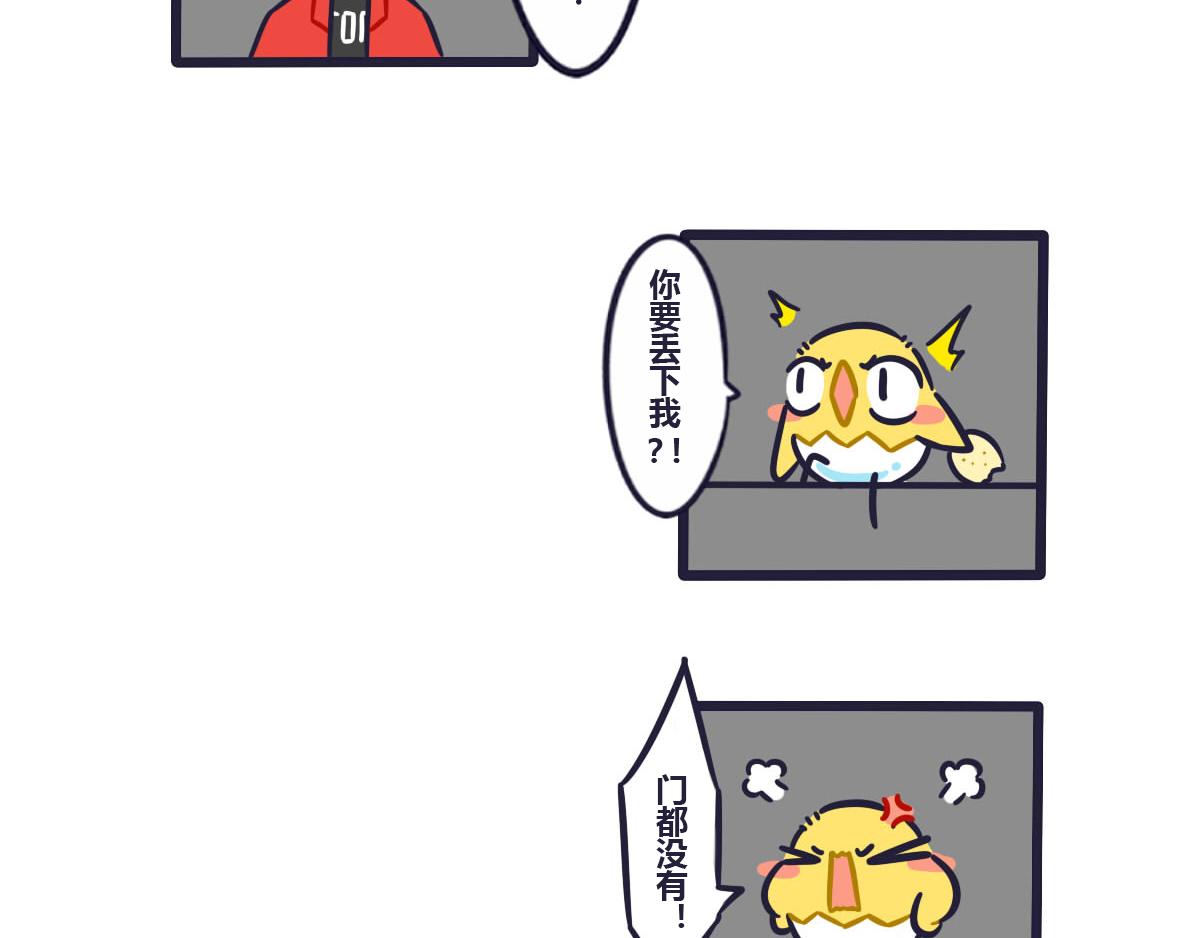 13.jpg