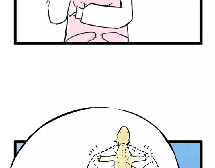 43.jpg