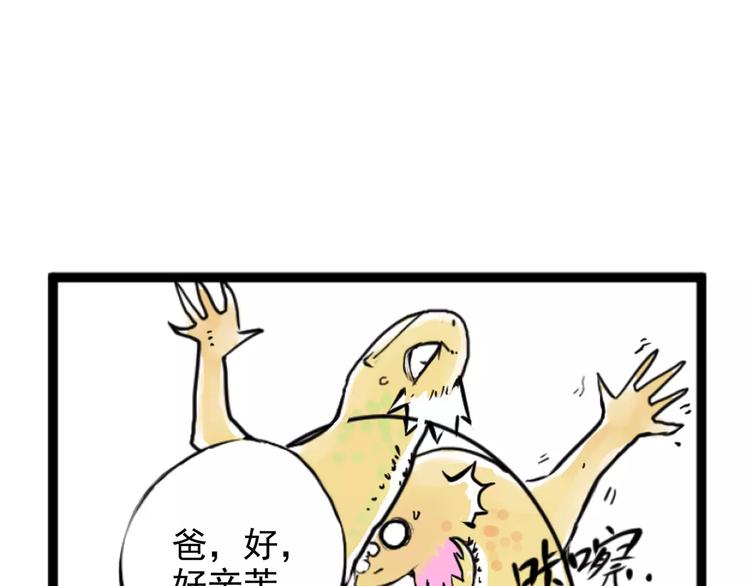 47.jpg