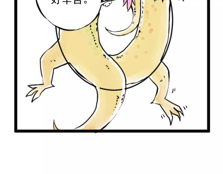 48.jpg