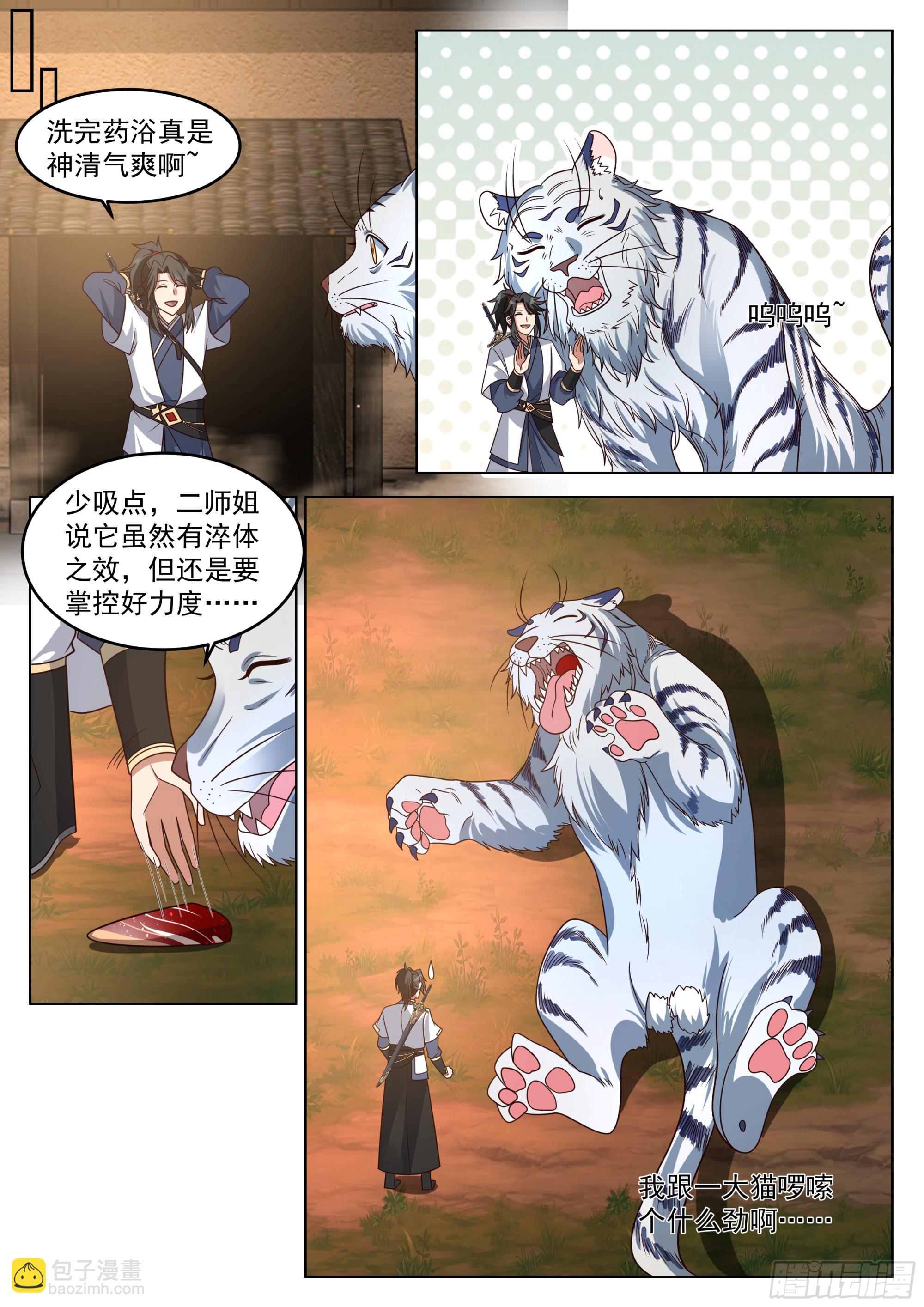 8.jpg