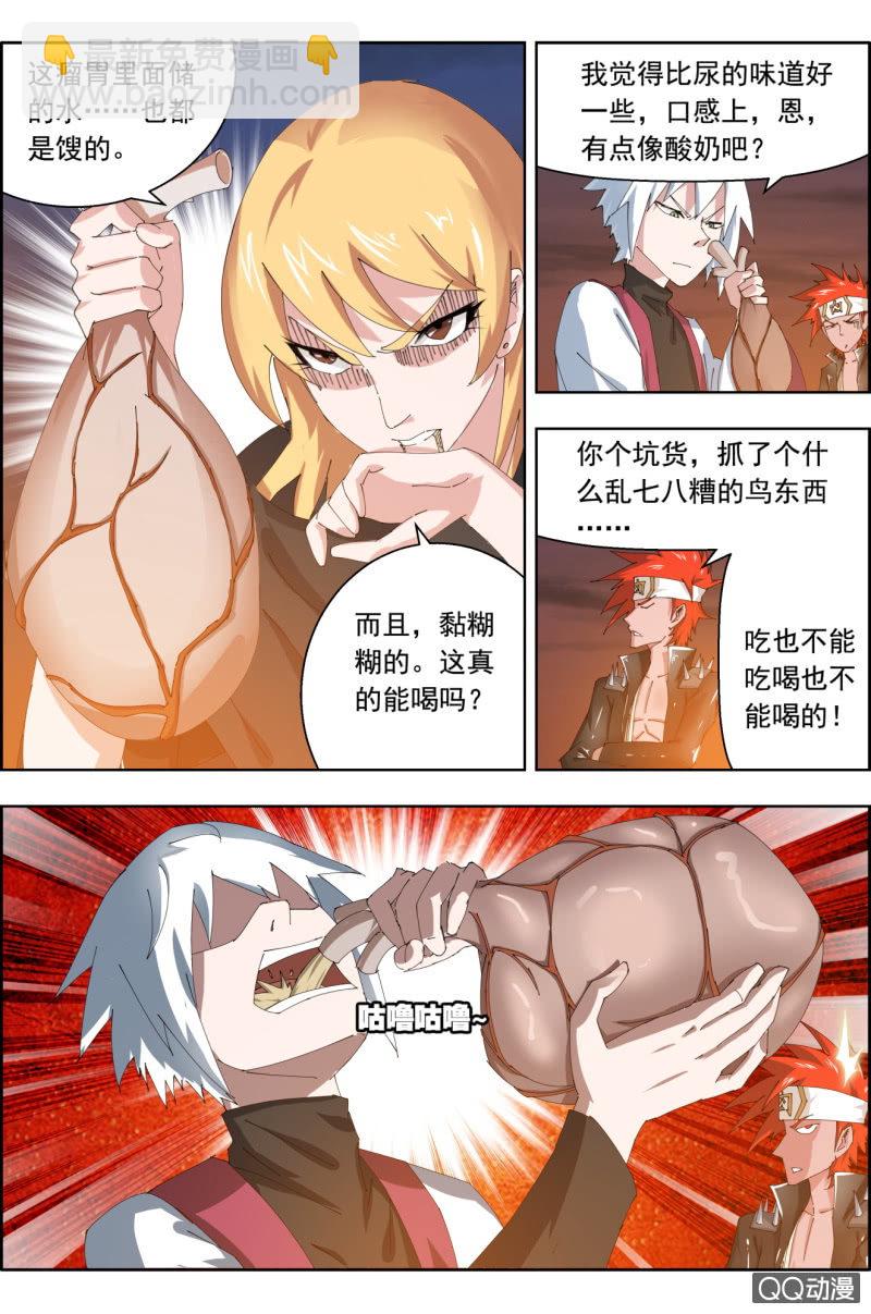 11.jpg