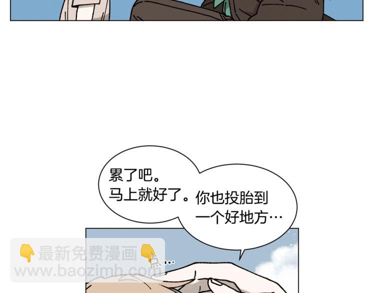 39.jpg