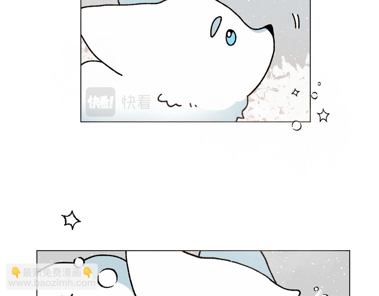 46.jpg
