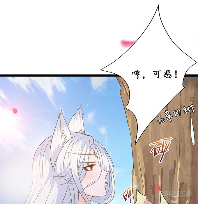 40.jpg