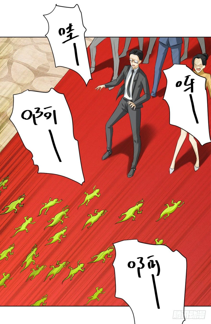 41.jpg