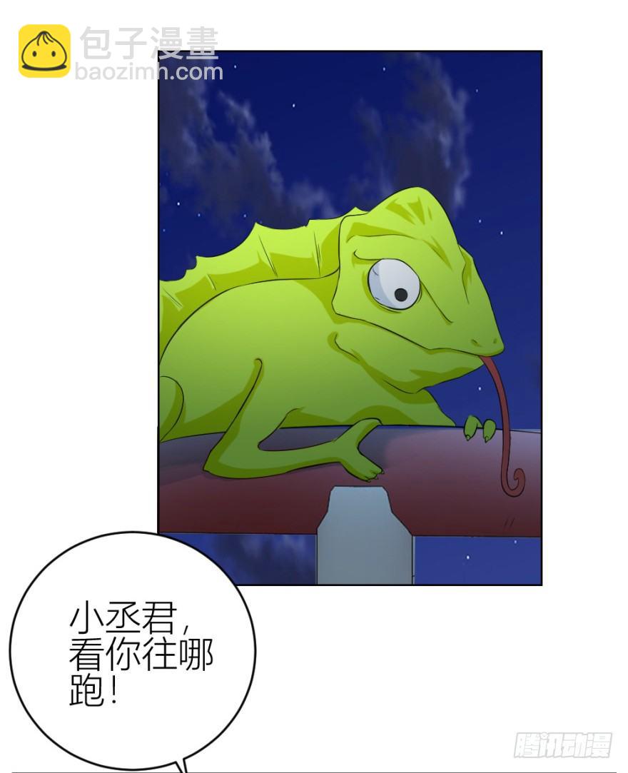 43.jpg