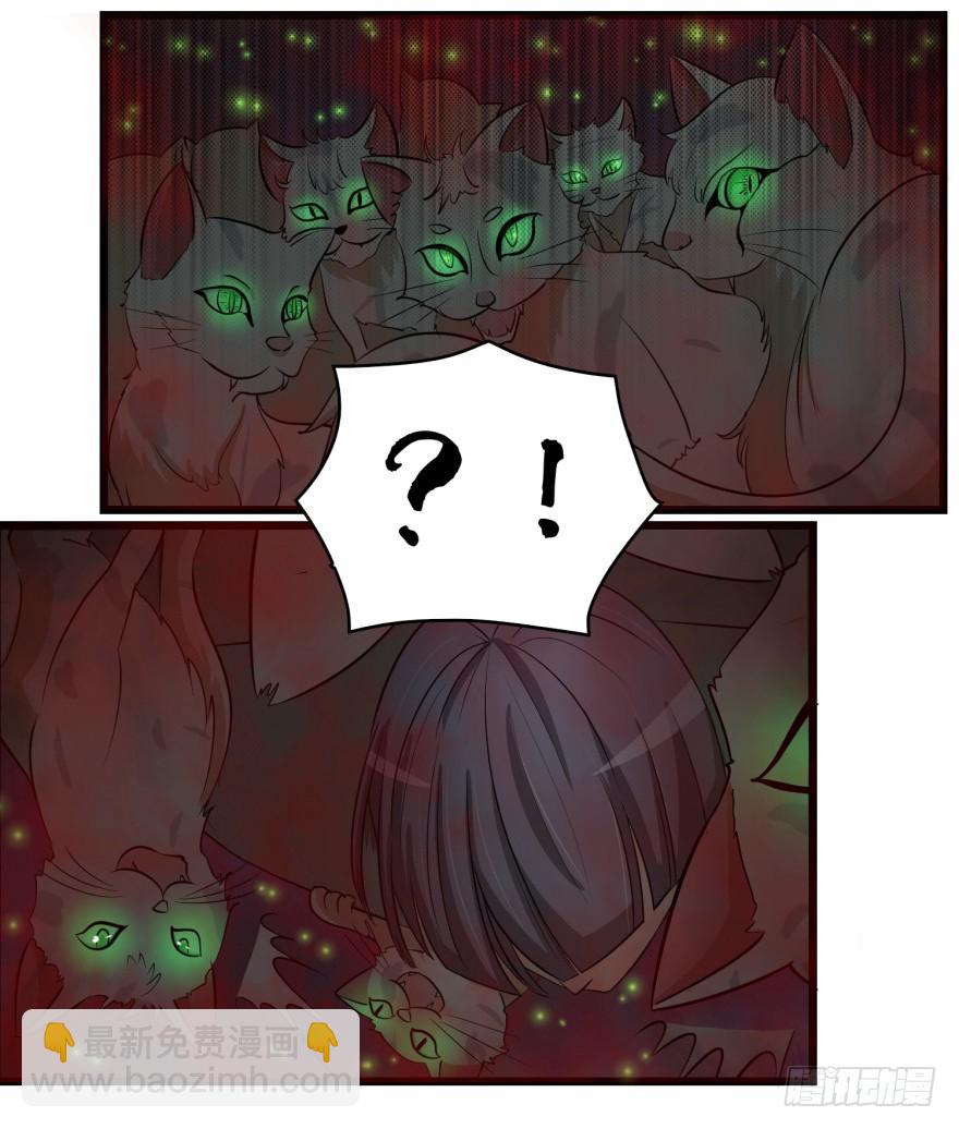 31.jpg