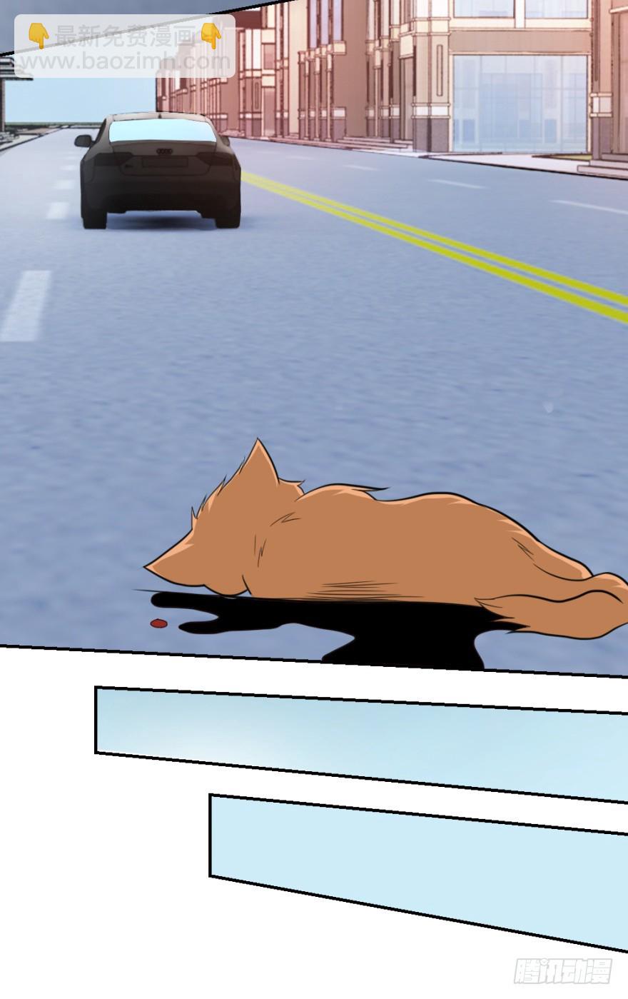 43.jpg