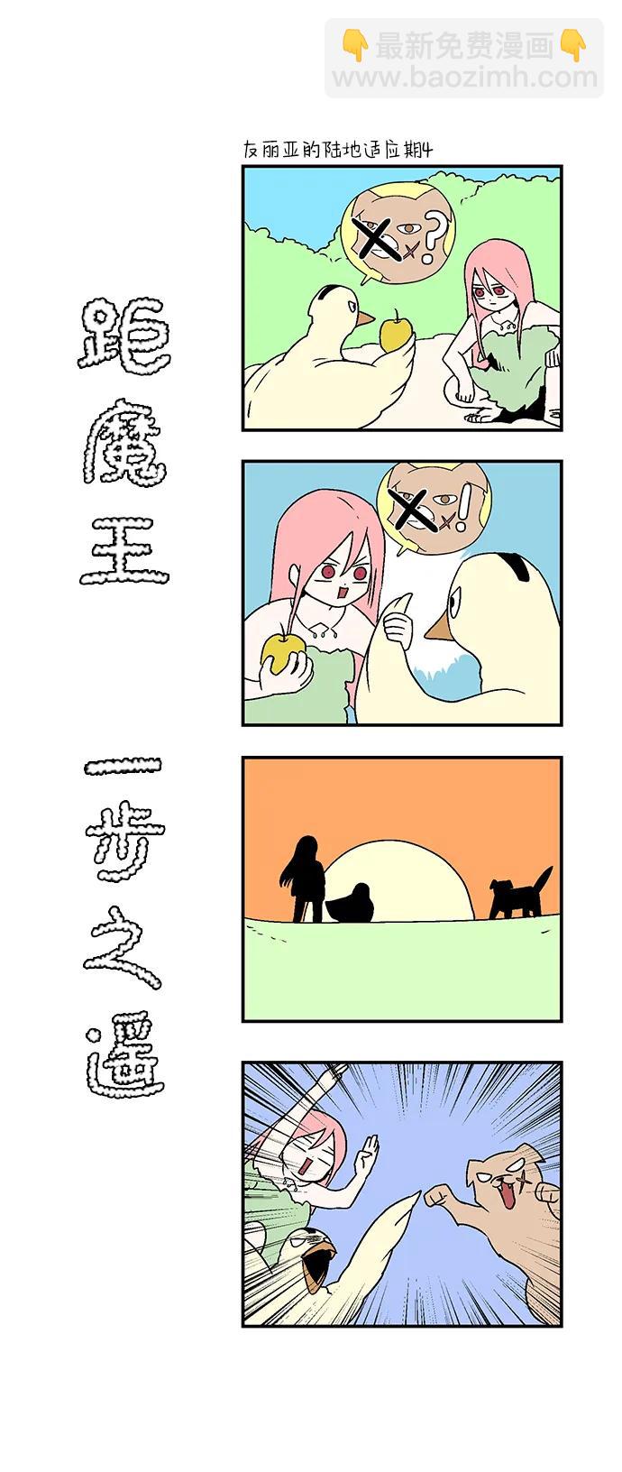 35.jpg