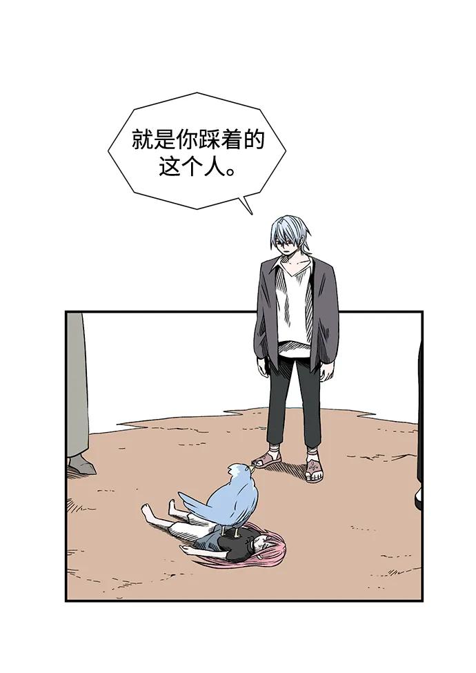 41.jpg