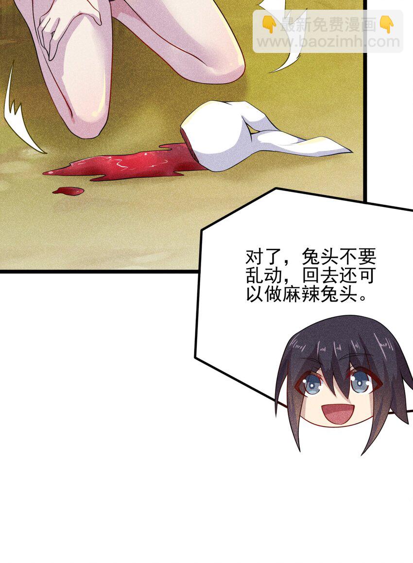 11.jpg