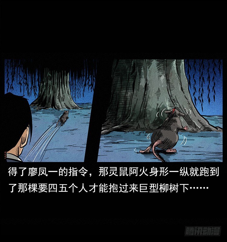 26.jpg
