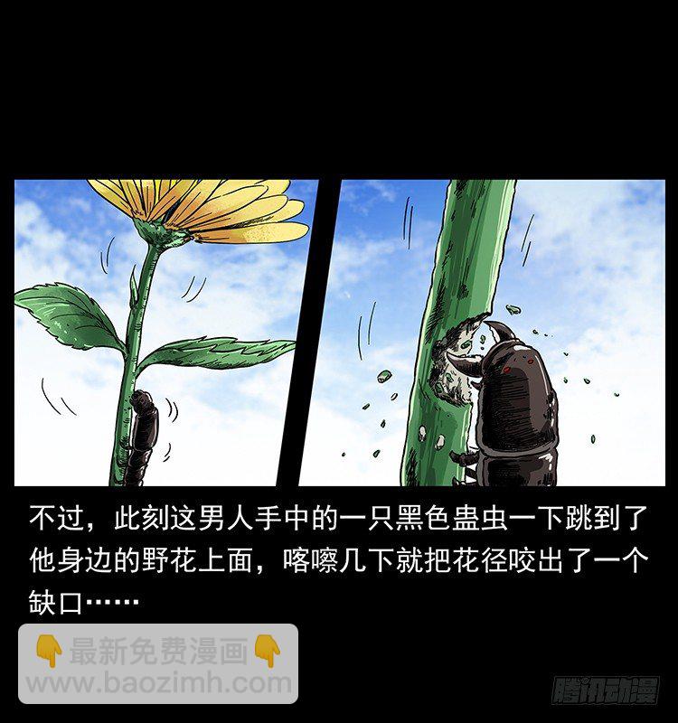 20.jpg