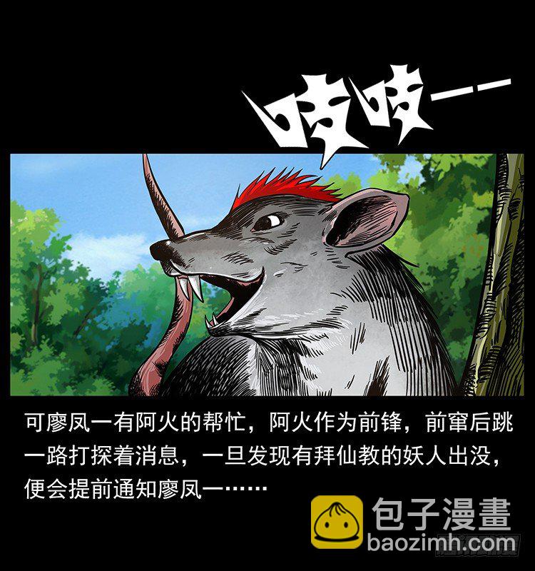 40.jpg