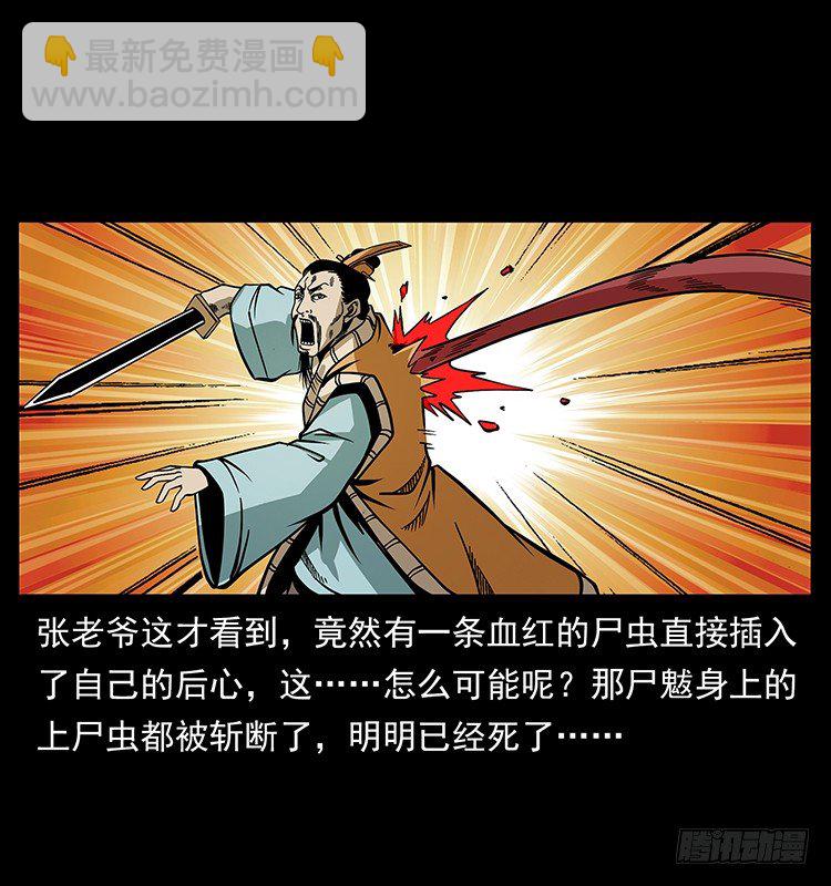 47.jpg