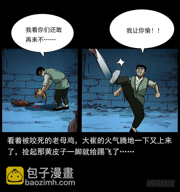 13.jpg
