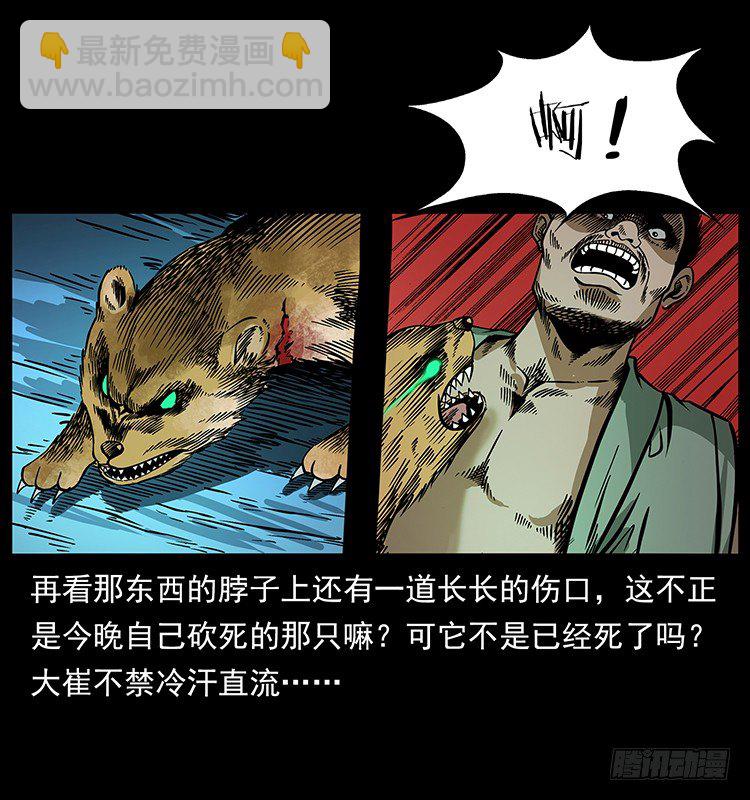 20.jpg
