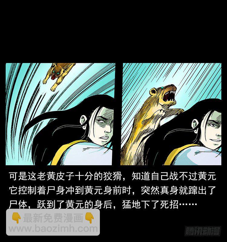 13.jpg