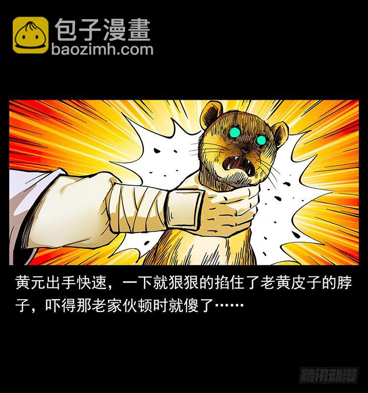 15.jpg