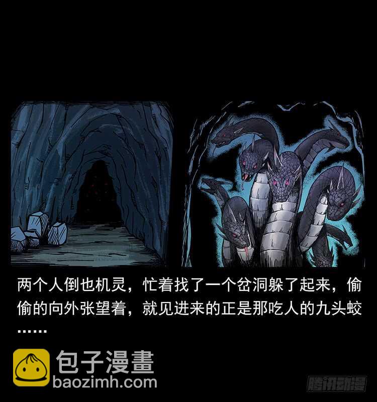 49.jpg