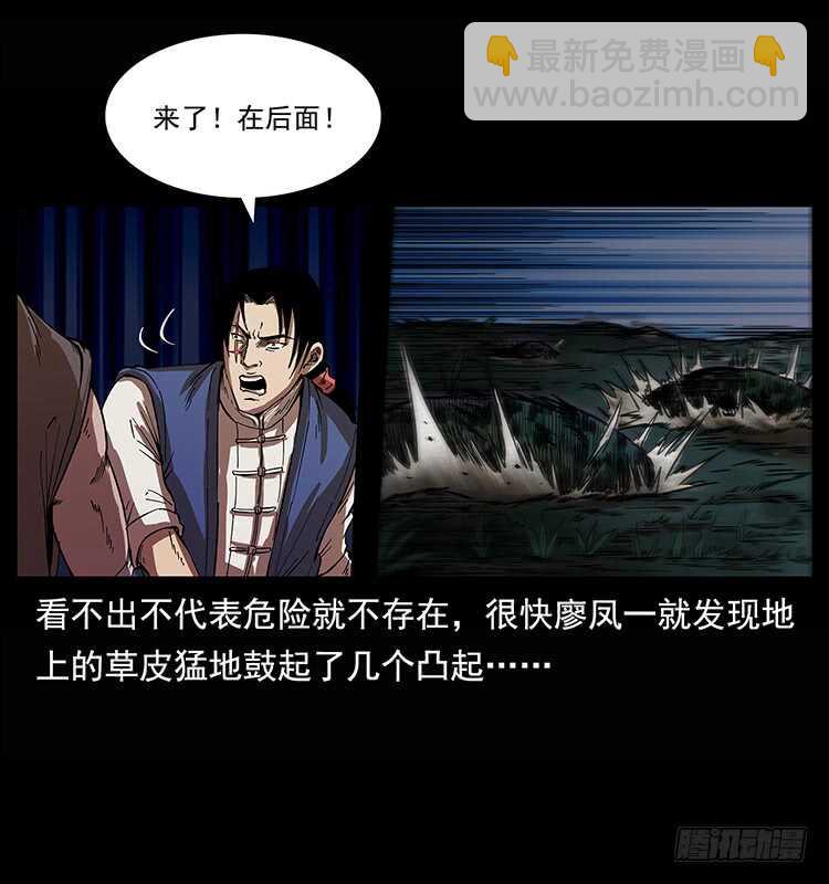 19.jpg