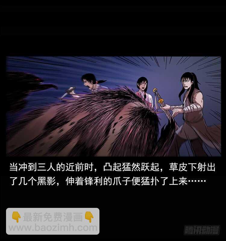 21.jpg