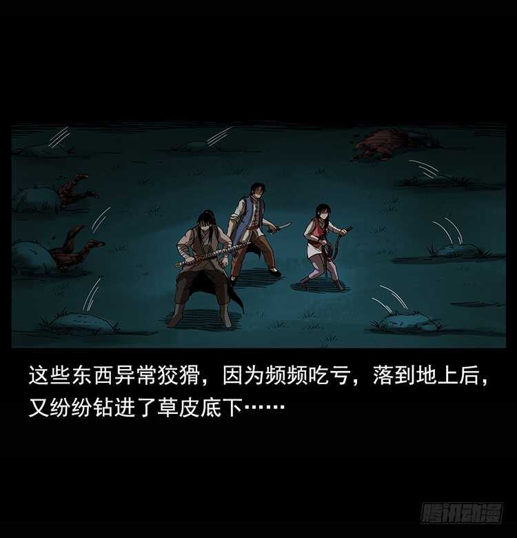 31.jpg
